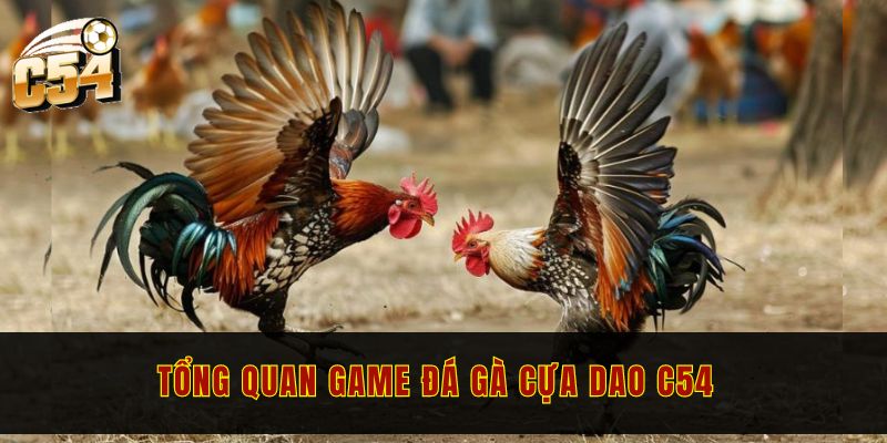 Tổng quan game đá gà cựa dao C54 hot 2024