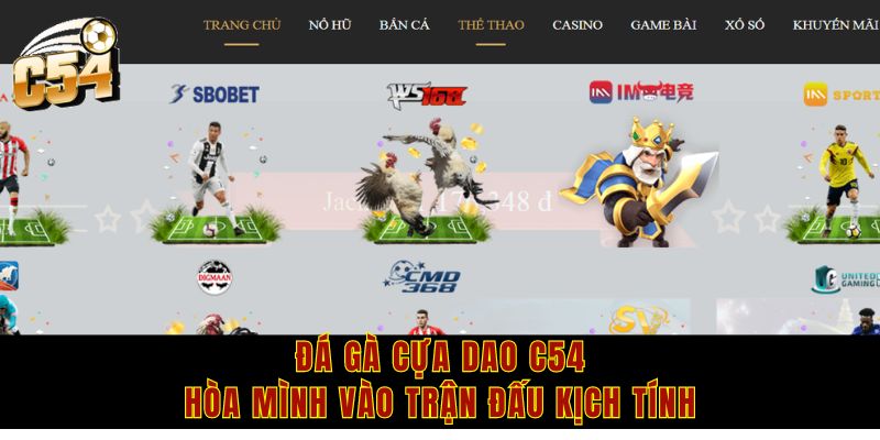 Đá gà cựa dao C54