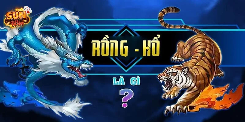 Tại sao Rồng Hổ lại là "mỏ vàng" cho người chơi biết tính toán?