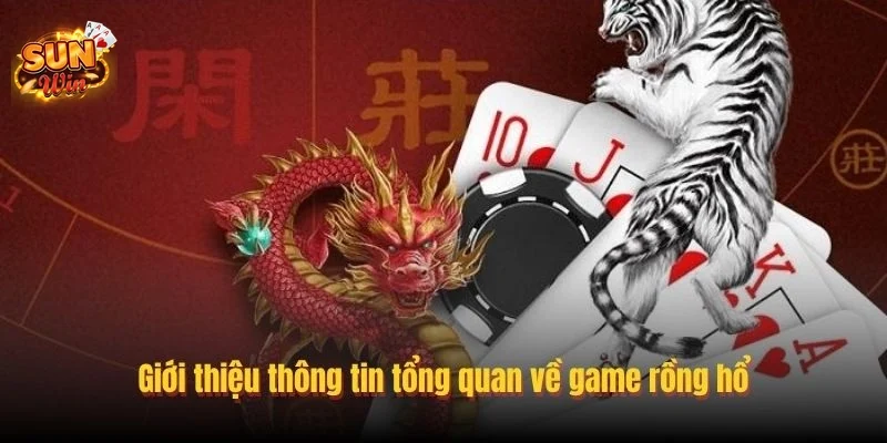 Top 3 Chiến Thuật Đánh Rồng Hổ Sunwin Đỉnh Cao